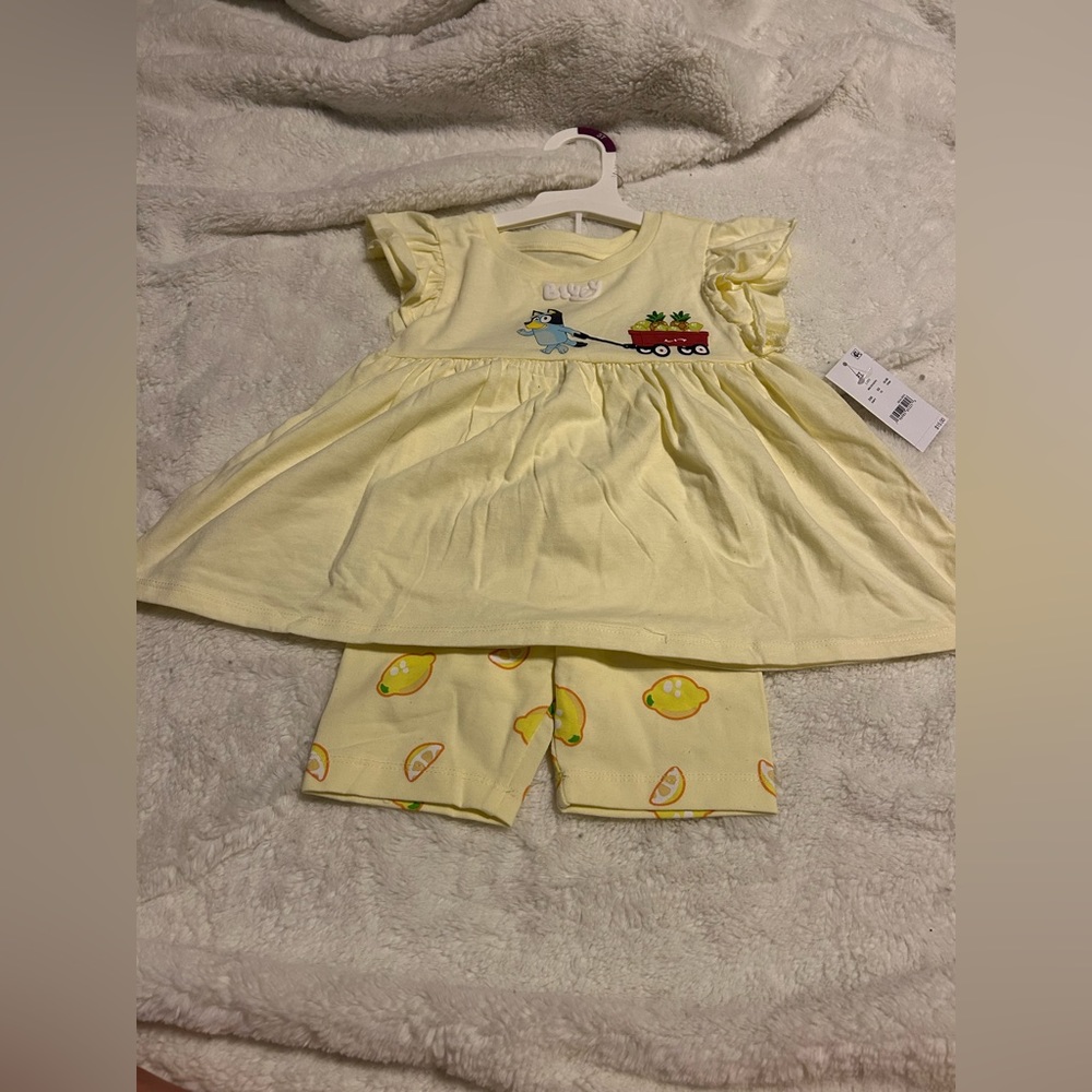 Bluey set